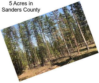 5 Acres in Sanders County