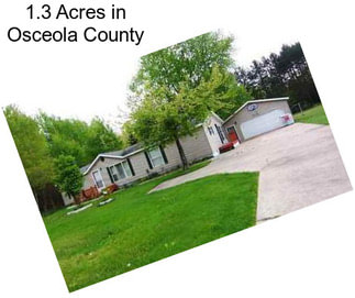 1.3 Acres in Osceola County