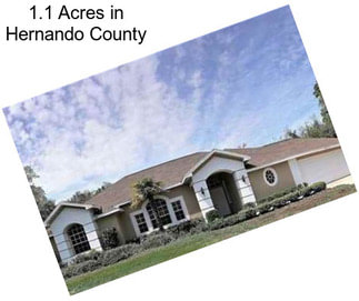 1.1 Acres in Hernando County
