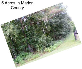 5 Acres in Marion County