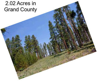 2.02 Acres in Grand County