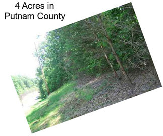 4 Acres in Putnam County