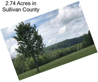 2.74 Acres in Sullivan County