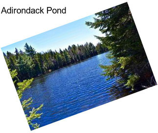 Adirondack Pond