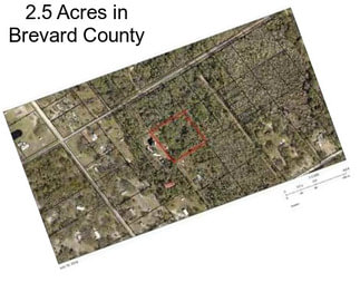 2.5 Acres in Brevard County