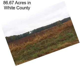 86.67 Acres in White County