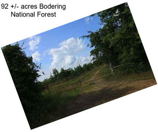 92 +/- acres Bodering National Forest