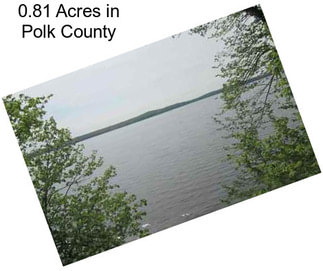 0.81 Acres in Polk County