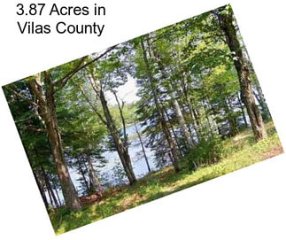 3.87 Acres in Vilas County