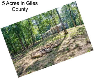 5 Acres in Giles County