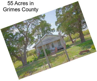 55 Acres in Grimes County