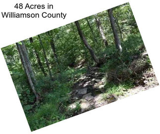 48 Acres in Williamson County