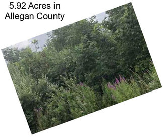 5.92 Acres in Allegan County