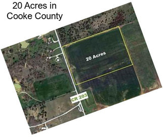 20 Acres in Cooke County