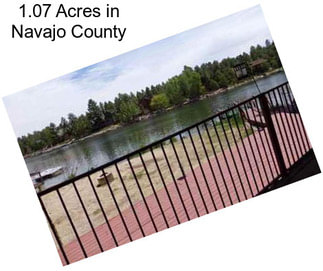 1.07 Acres in Navajo County