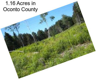 1.16 Acres in Oconto County