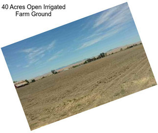 40 Acres Open Irrigated Farm Ground