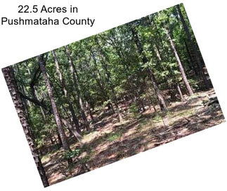 22.5 Acres in Pushmataha County