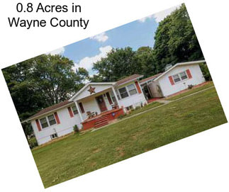 0.8 Acres in Wayne County