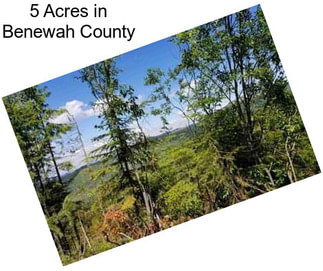 5 Acres in Benewah County