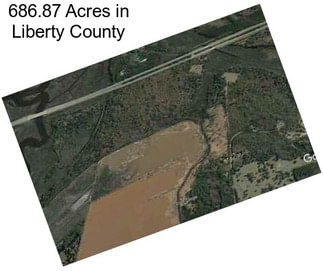 686.87 Acres in Liberty County