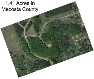 1.41 Acres in Mecosta County