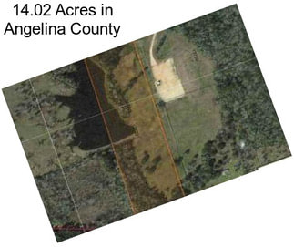 14.02 Acres in Angelina County