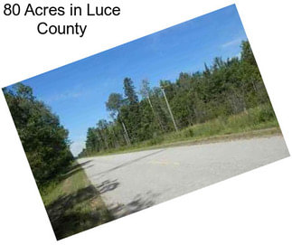 80 Acres in Luce County