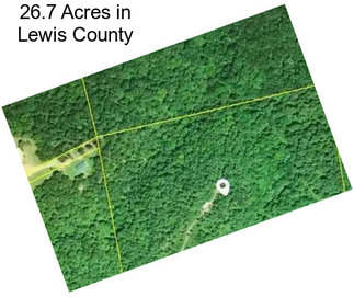 26.7 Acres in Lewis County