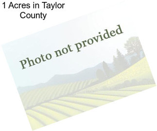 1 Acres in Taylor County