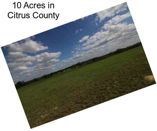 10 Acres in Citrus County