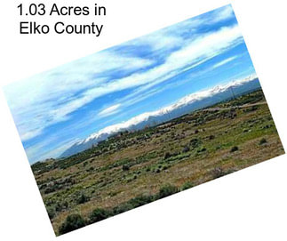 1.03 Acres in Elko County