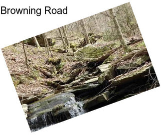 Browning Road