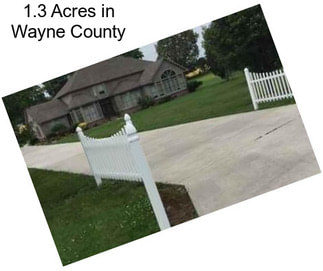 1.3 Acres in Wayne County