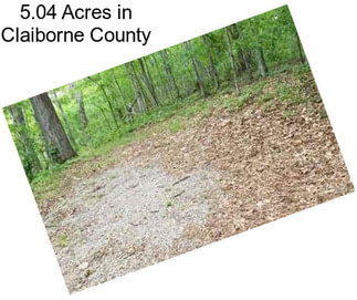 5.04 Acres in Claiborne County