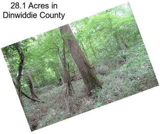 28.1 Acres in Dinwiddie County