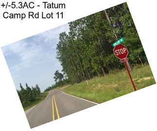 +/-5.3AC - Tatum Camp Rd Lot 11
