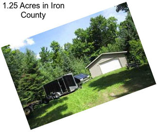 1.25 Acres in Iron County