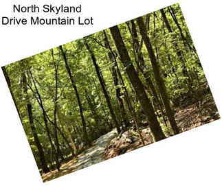 North Skyland Drive Mountain Lot