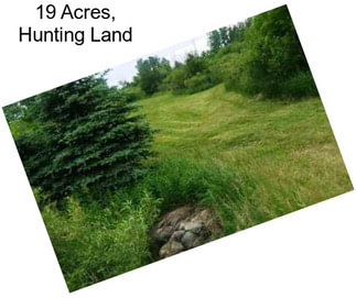 19 Acres, Hunting Land