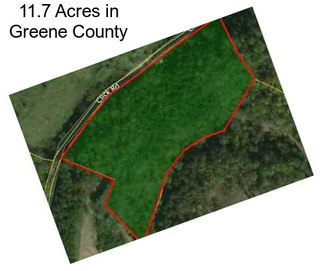 11.7 Acres in Greene County