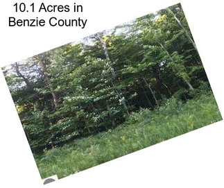 10.1 Acres in Benzie County