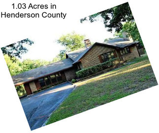 1.03 Acres in Henderson County