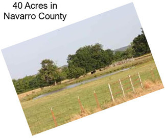 40 Acres in Navarro County