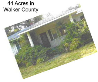 44 Acres in Walker County