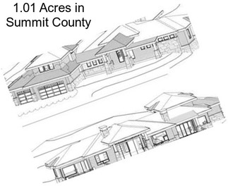 1.01 Acres in Summit County