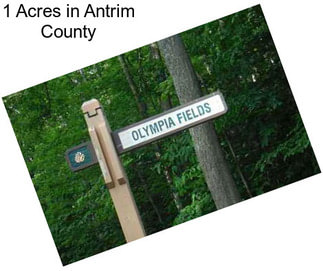1 Acres in Antrim County