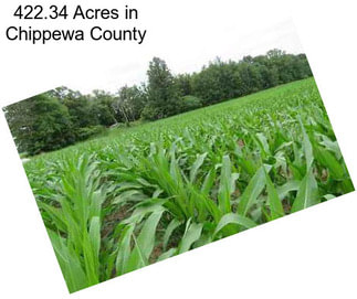 422.34 Acres in Chippewa County