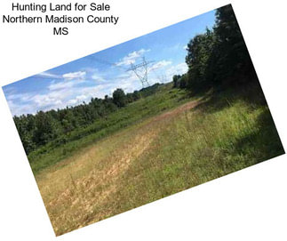 Hunting Land for Sale Northern Madison County MS