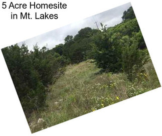 5 Acre Homesite in Mt. Lakes